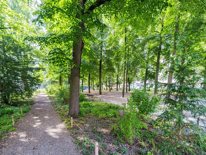 Winkelriedplatz, Basel/Schweiz 17