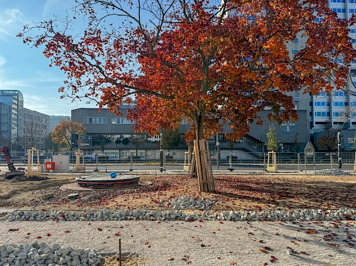 Weddingplatz, Berlin 8