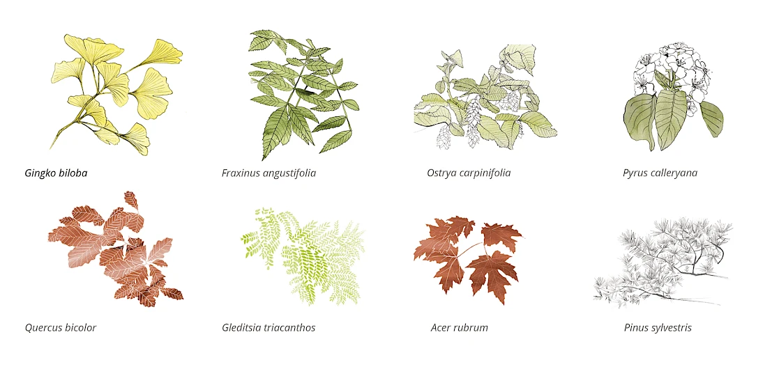 Weddingplatz, Berlin 5