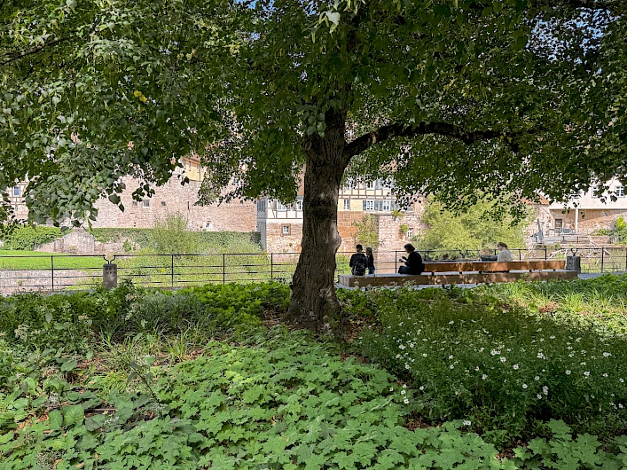 Großer Unterwöhrd, Schwäbisch Hall 6