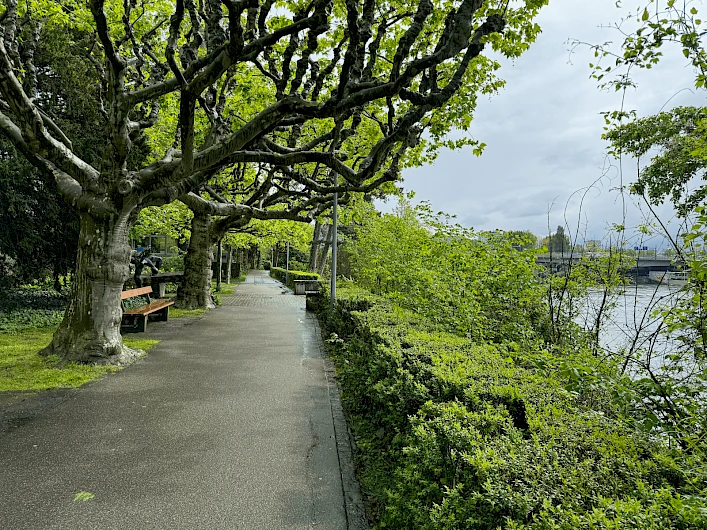 Solitude-Promenade, Basel/Switzerland 9